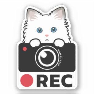 Adesivo Aviso da câmara de gravação do Vinyl Sticker de