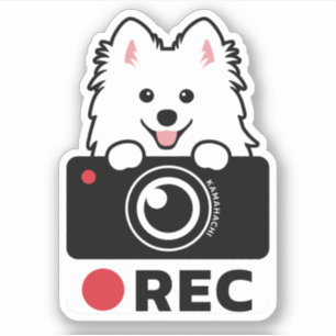 Adesivo Aviso de câmara do Spitz Dog Recortando o vinil S