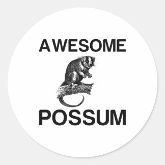 ADESIVO AWESOME POSSUM