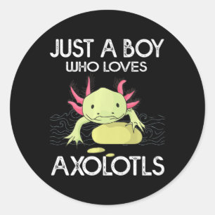 Adesivo Axolotl Gift Anime Japonês Apenas Um Menino Que Am
