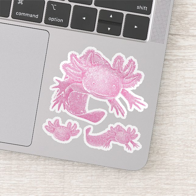 Adesivo Axolotl Stickers - PINK - 3 Pack (Detalhe)