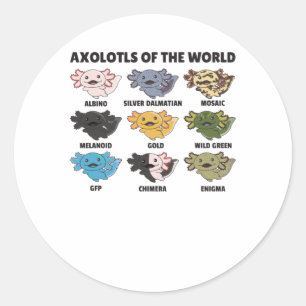 Adesivo Axolotls Do Axolotl Para Animais Doces Do Mundo