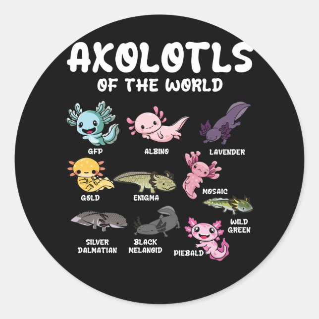 Adesivo Axolotls Do Lover Kawaii Axolotl Da Cuta Mundial O (Frente)