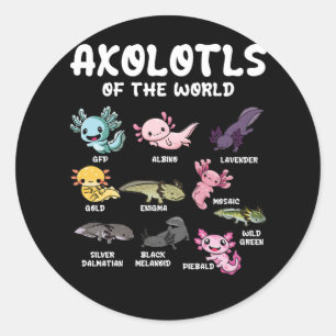 Adesivo Axolotls Do Lover Kawaii Axolotl Da Cuta Mundial O