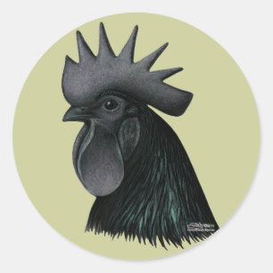 Adesivo Ayam Cemani Rooster Head