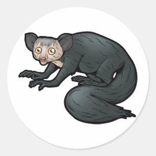 Adesivo Aye-Aye