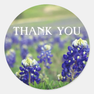Adesivo Azul Bluebonnets Flores Texas Floral 