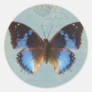 Adesivo Azul de Papillon