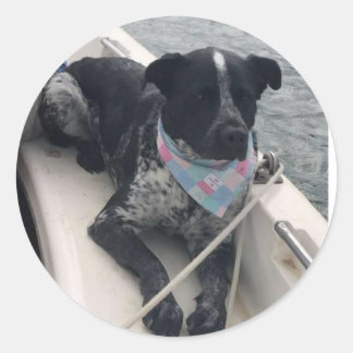 Adesivo Azul First Mate