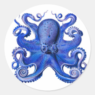 Adesivo Azul Octopus Haeckel
