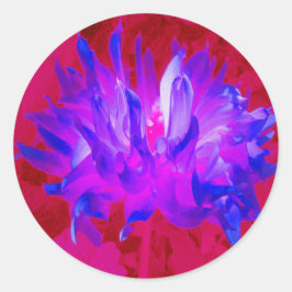 Adesivo Azul violeta assombroso e Cactus rosa-quente Dahli