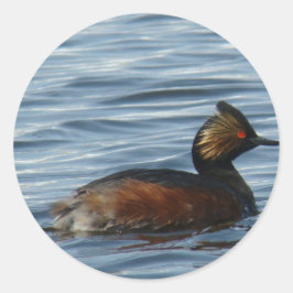 Adesivo B1 Eared Grebe