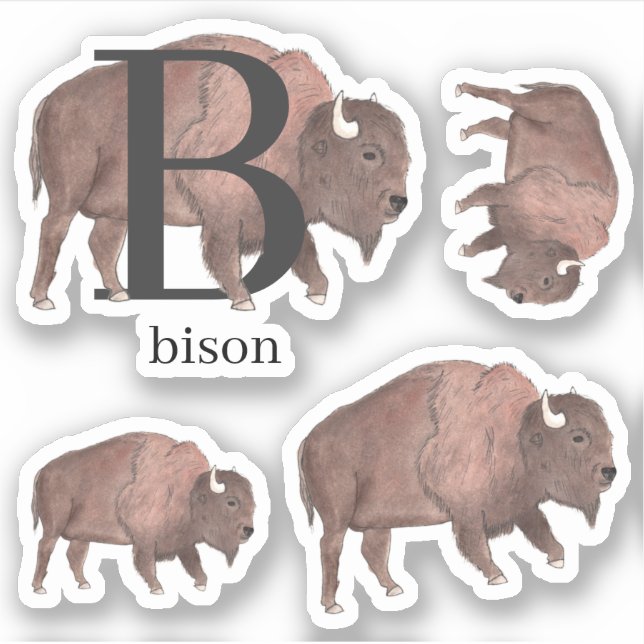 Adesivo B para Bison Stickers (Frente)