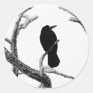 Adesivo B&W Winter Raven Edgar Allan Poe