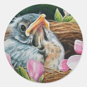 Adesivo Baby American Robin Bird em Nest Watercolor Art