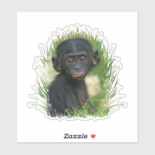 Adesivo Baby Bonobo Ape