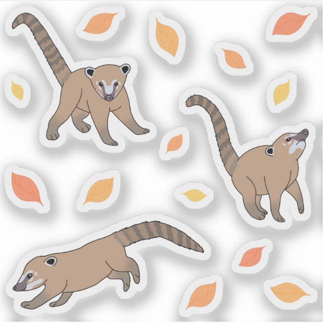 Adesivo Baby Coatis (Frente)
