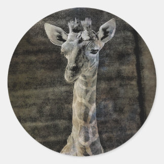Adesivo Baby Giraffe
