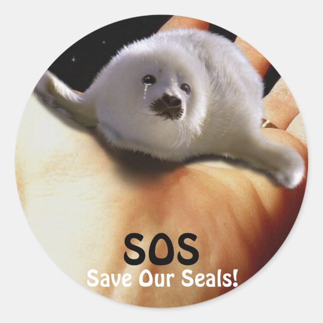 Adesivo BABY HARP SEAL Anti-Seal Hunt Sticker (Frente)