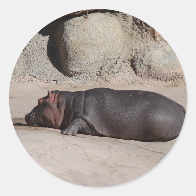 Adesivo Baby Hippo (Frente)