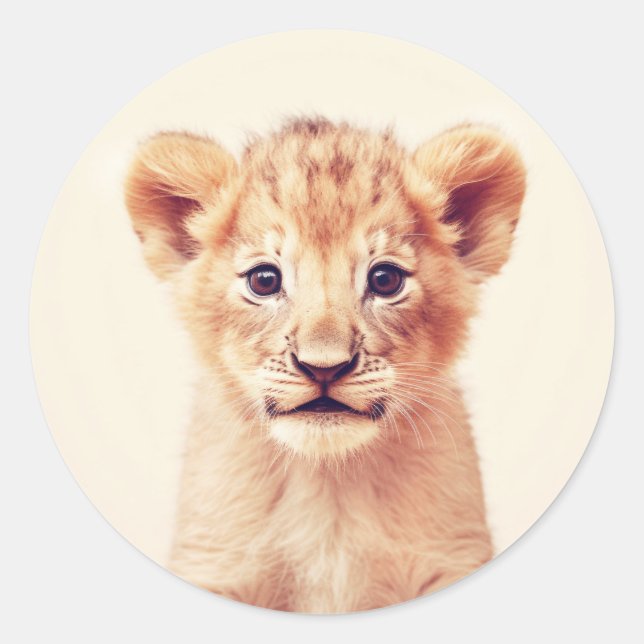 Adesivo Baby Lion (Frente)