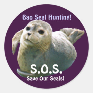 Adesivo BABY SEAL Anti-Seal Hunt Selvagem Sticker