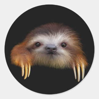 Adesivo Baby Sloth