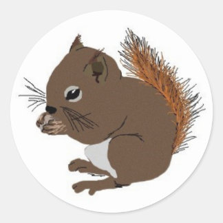 Adesivo Baby Squirrel Sticker