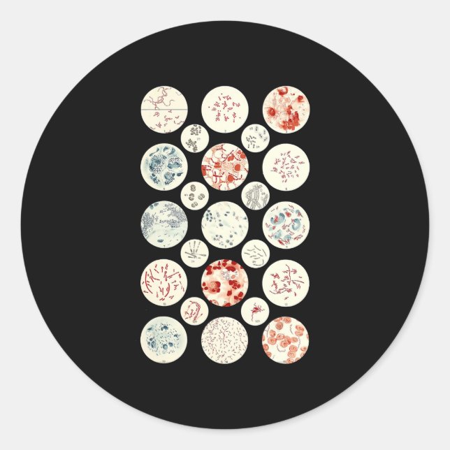 Adesivo bactéria engraçada microbiologia bactéria ciência  (Frente)