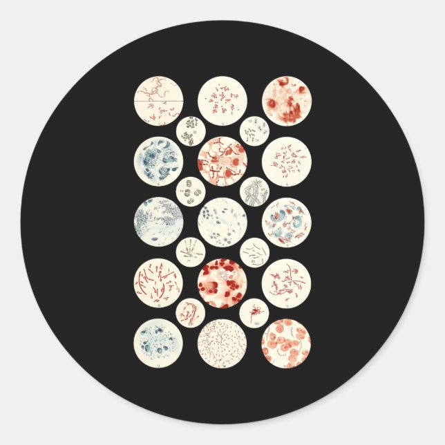 Adesivo Bactérias Microbiologia Bactérias Science Tiny Mic (Frente)