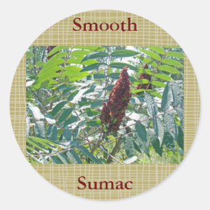 Adesivo Bagas lisas de Sumac que combinam artigos