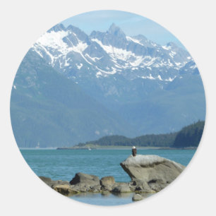 Adesivo Bald Eagle em Skagway Alaska