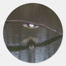 Adesivo Bald Eagle em Voo