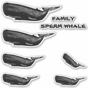 ADESIVO BALEIA DE ESPERMA DA FAMÍLIA