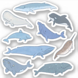 Adesivo Baleias do Mundo