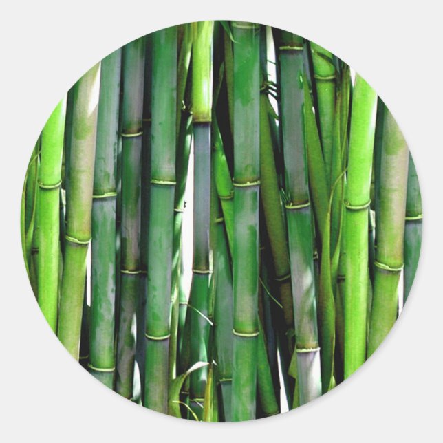 ADESIVO BAMBOO (Frente)
