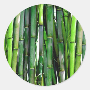 ADESIVO BAMBOO