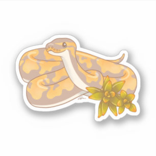 Adesivo Banana Ball Python e Succults Sticker
