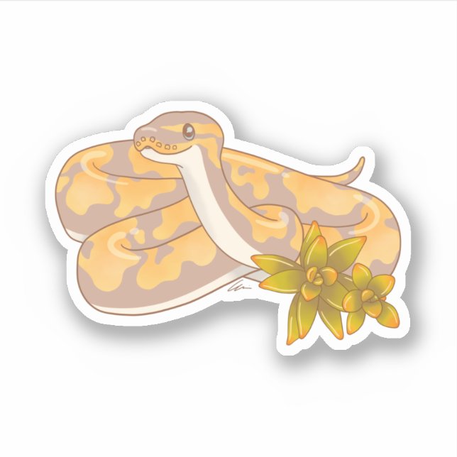 Adesivo Banana Ball Python e Succults Sticker (Frente)