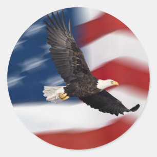 Adesivo Bandeira americana e águia