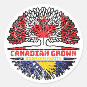 Adesivo Bandeira das Raízes da Árvore do Canadá na Bósnia-