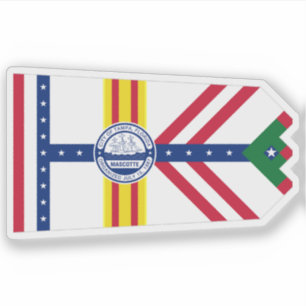 Adesivo Bandeira de Tampa, Florida