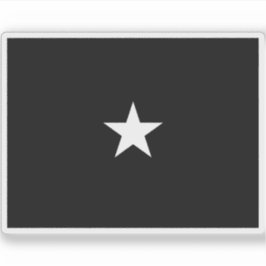 Adesivo Bandeira de um brigadeiro da Força Espacial dos EU