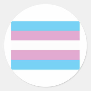Adesivo Bandeira do orgulho do Transgender