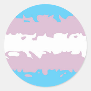 Adesivo Bandeira do orgulho do Transgender (felpudo)