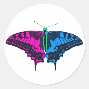 Adesivo Bandeira do Orgulho Polisexual