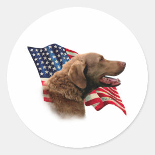 Adesivo Bandeira do Retriever de baía de Chesapeake