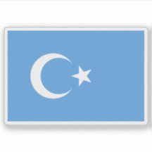 Bandeira do Turquestão Oriental (Kök Bayraq)