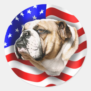 Adesivo Bandeira dos E.U. do patriota do buldogue