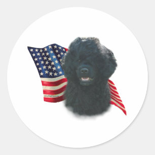 Adesivo Bandeira portuguesa do cão de água